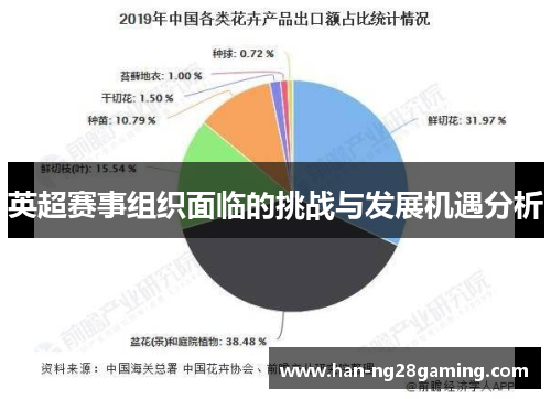 英超赛事组织面临的挑战与发展机遇分析