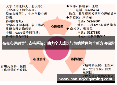 布克心理辅导与支持系统：助力个人成长与情绪管理的全新方法探索