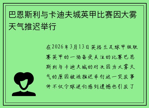 巴恩斯利与卡迪夫城英甲比赛因大雾天气推迟举行